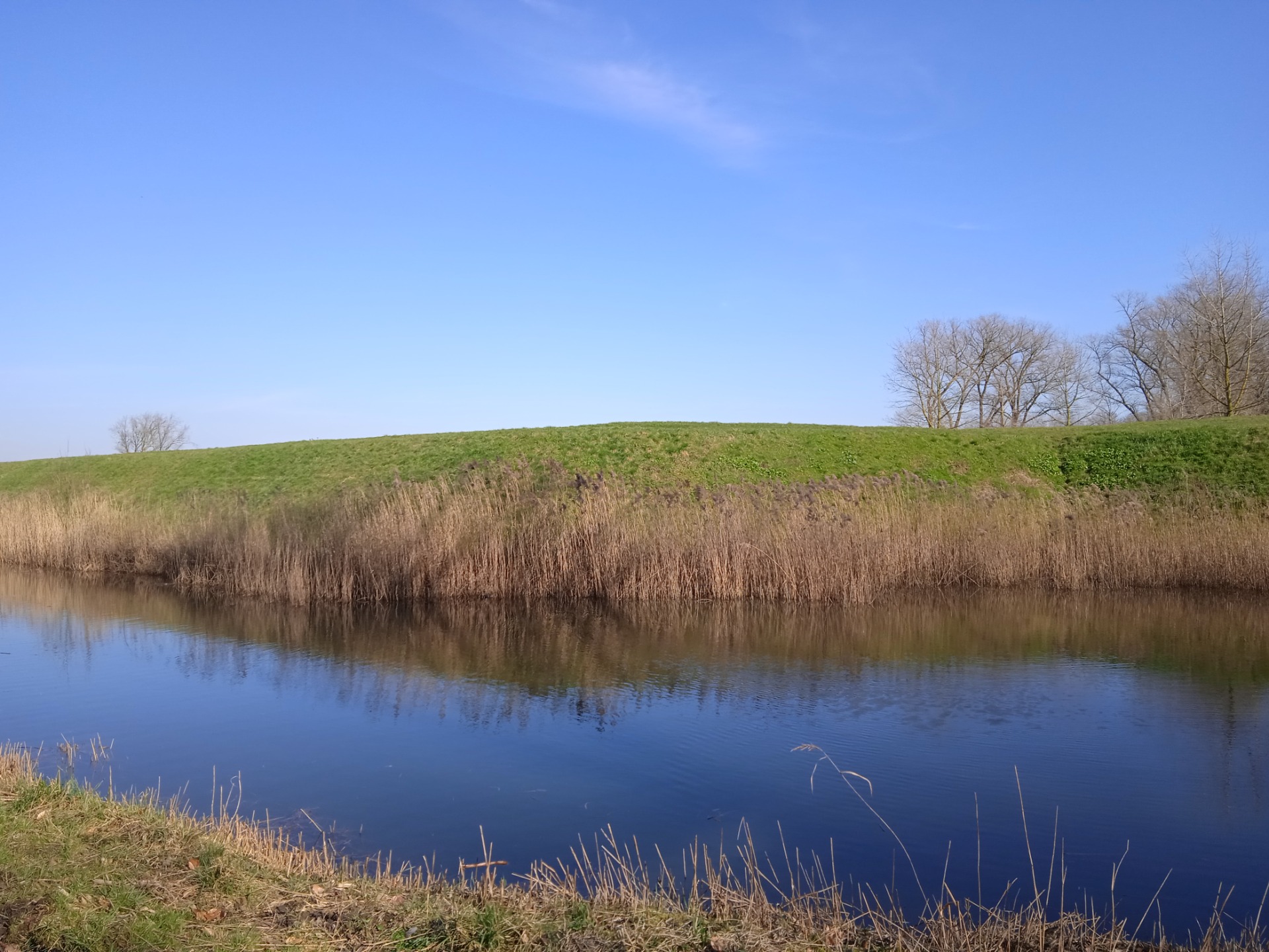 Mindfulness in de natuur @stapvoetsgroeien