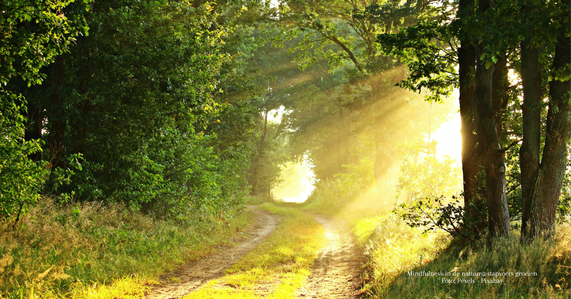 Mindfulness in de natuur@stapvoets groeien -foto Pexels-Pixabay